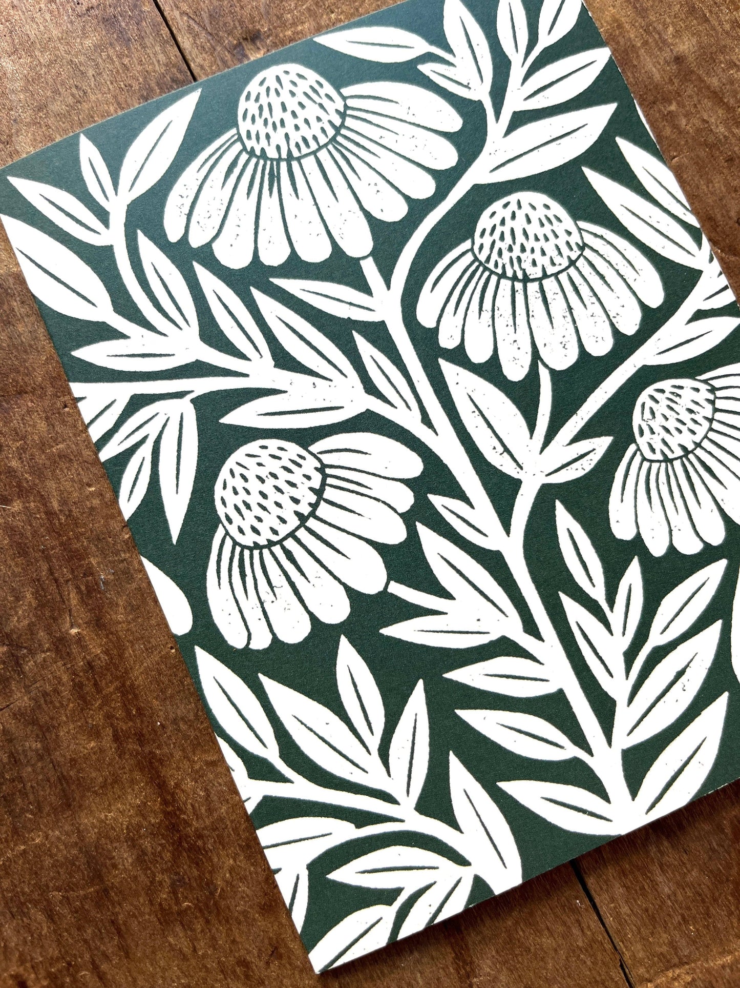 Echinacea Blank Greeting Card