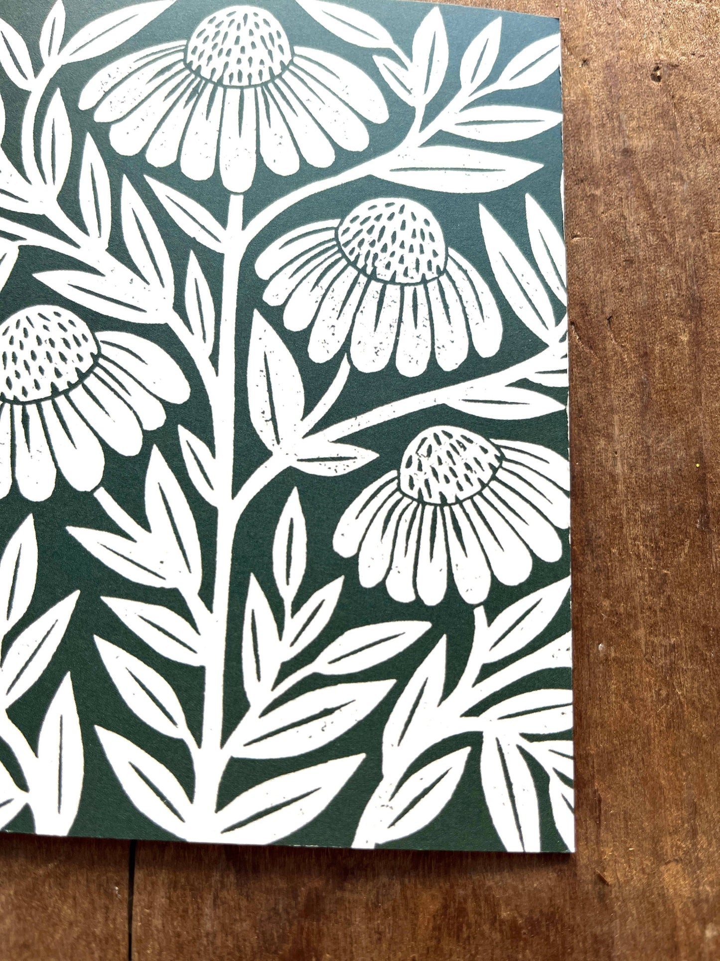 Echinacea Blank Greeting Card