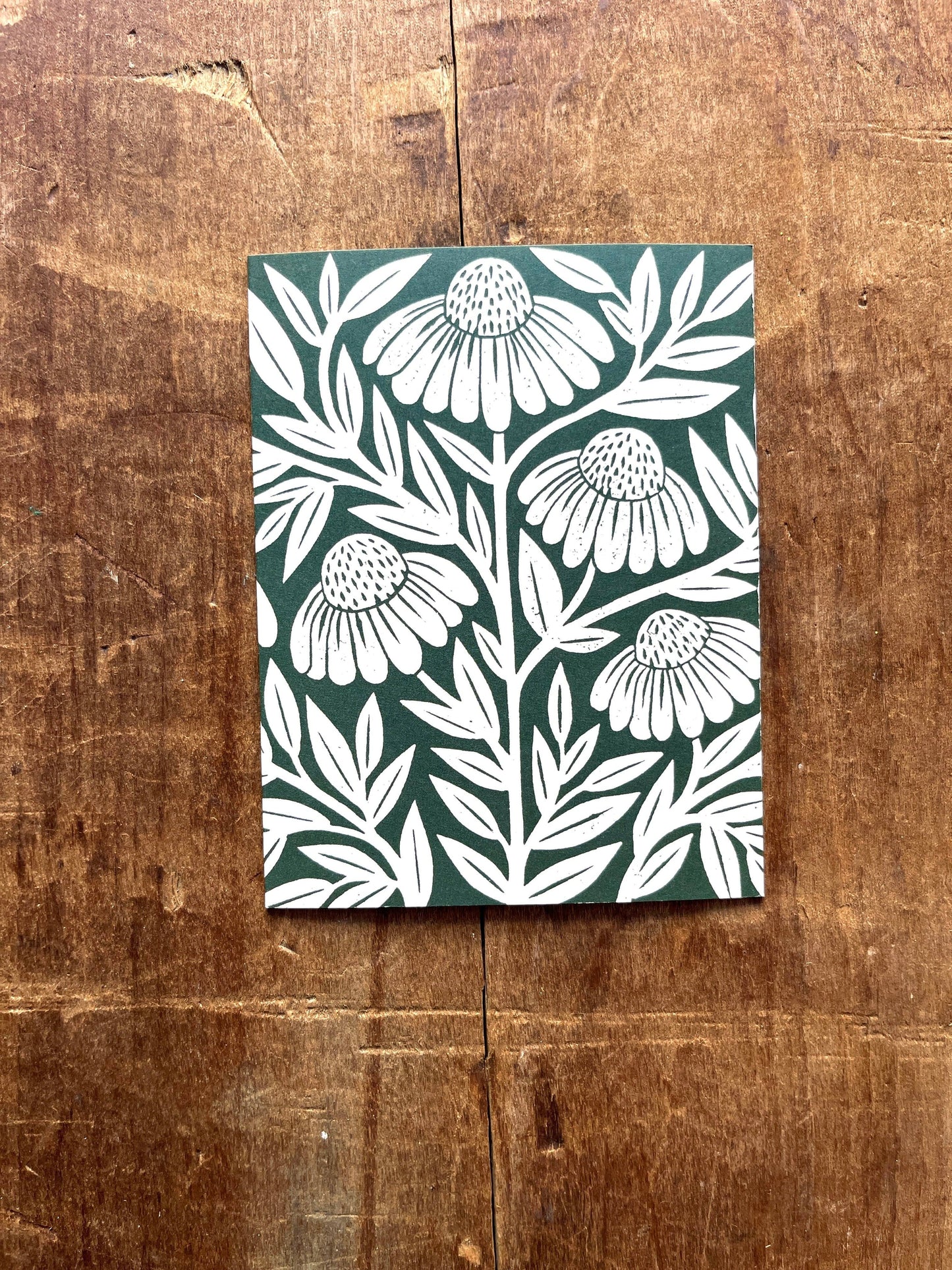 Echinacea Blank Greeting Card