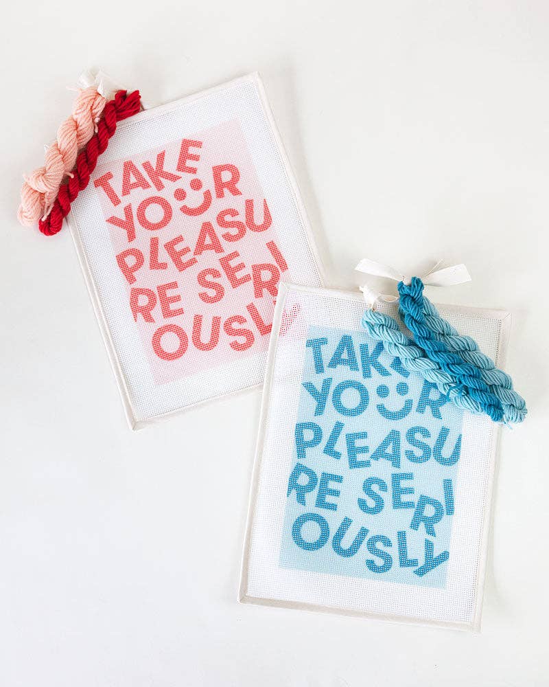 "Take Your Pleasure Seriously" Needlepoint Kit