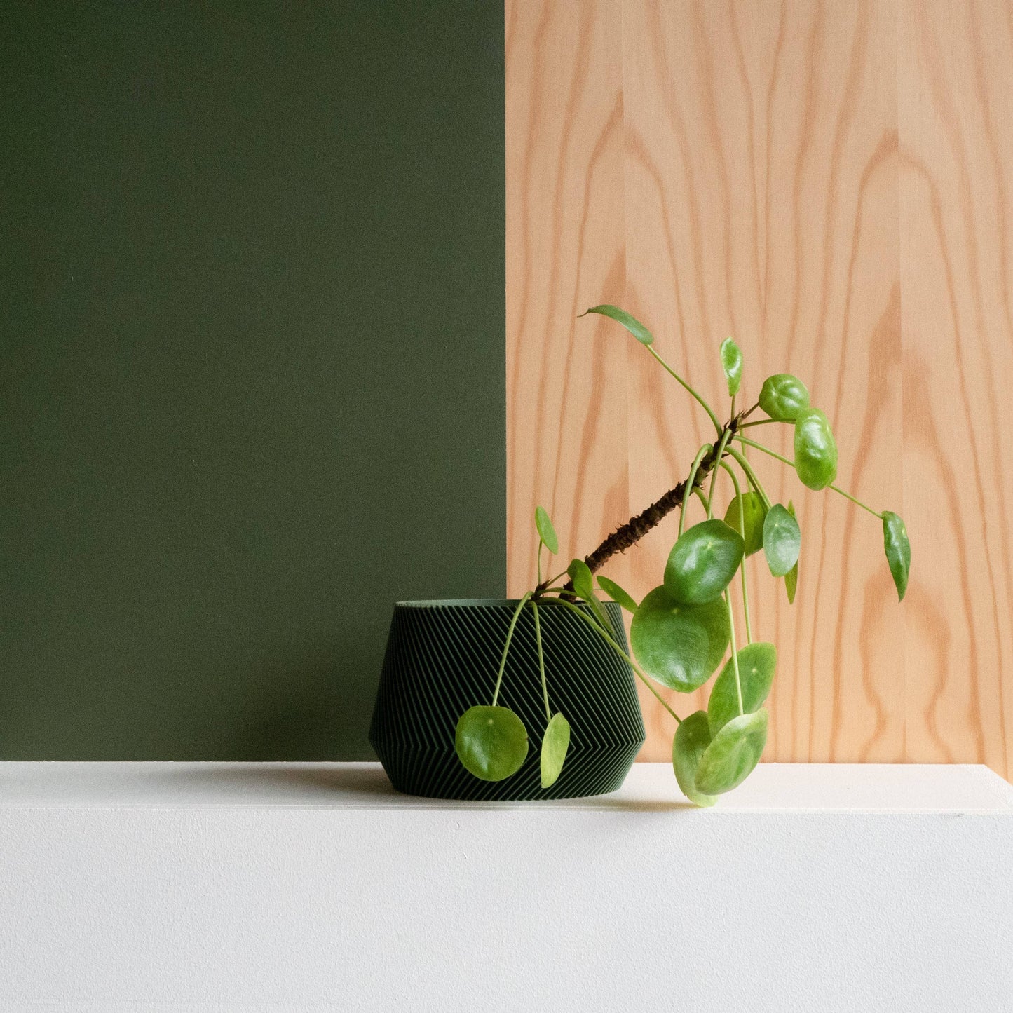 Oslo Indoor Planter