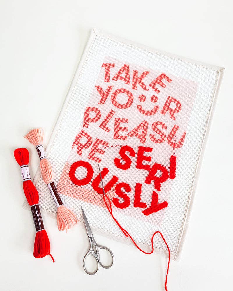 "Take Your Pleasure Seriously" Needlepoint Kit