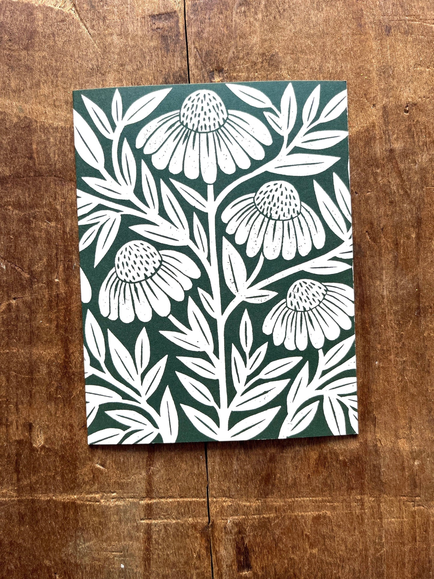 Echinacea Blank Greeting Card