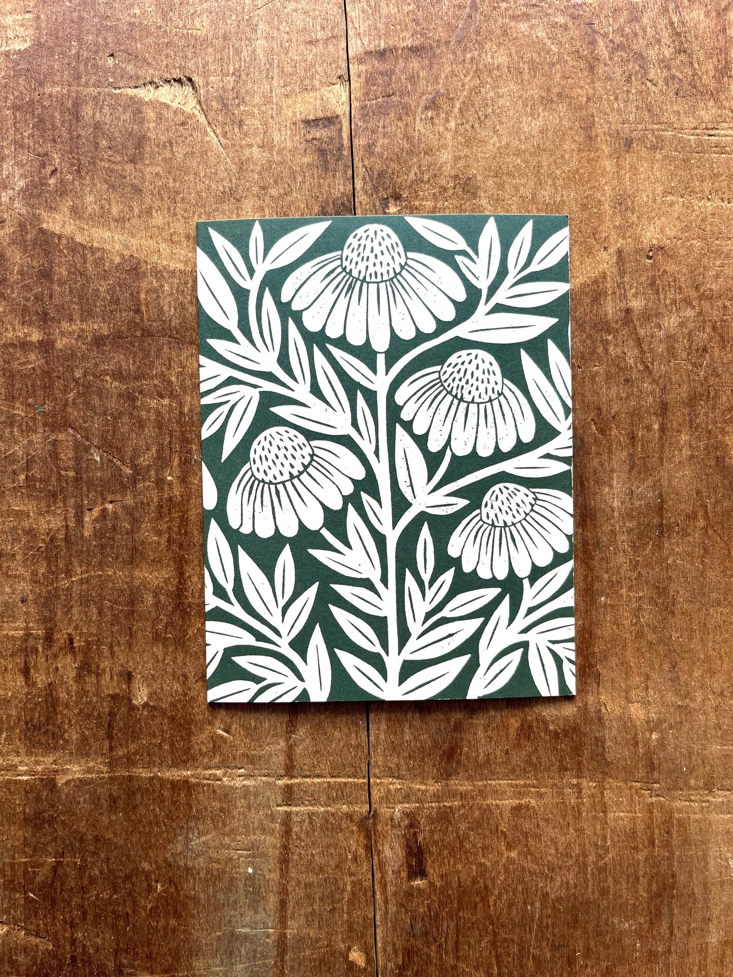 Echinacea Blank Greeting Card